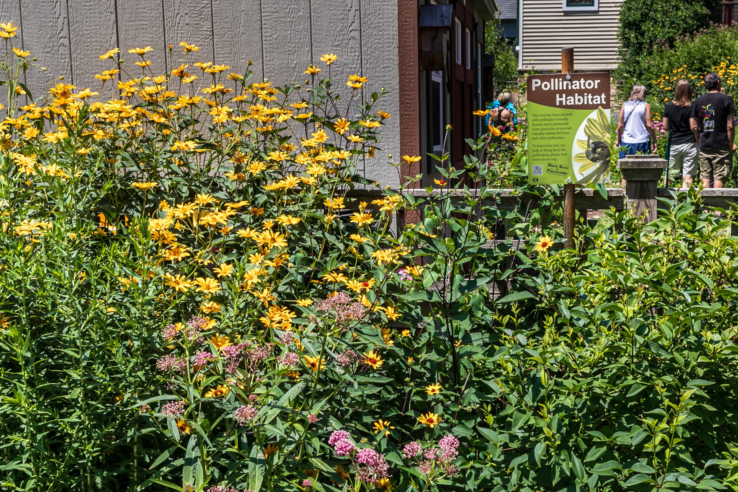 SUNY Empire dedicates flower garden to those impacted by COVID pandemic –  Saratogian