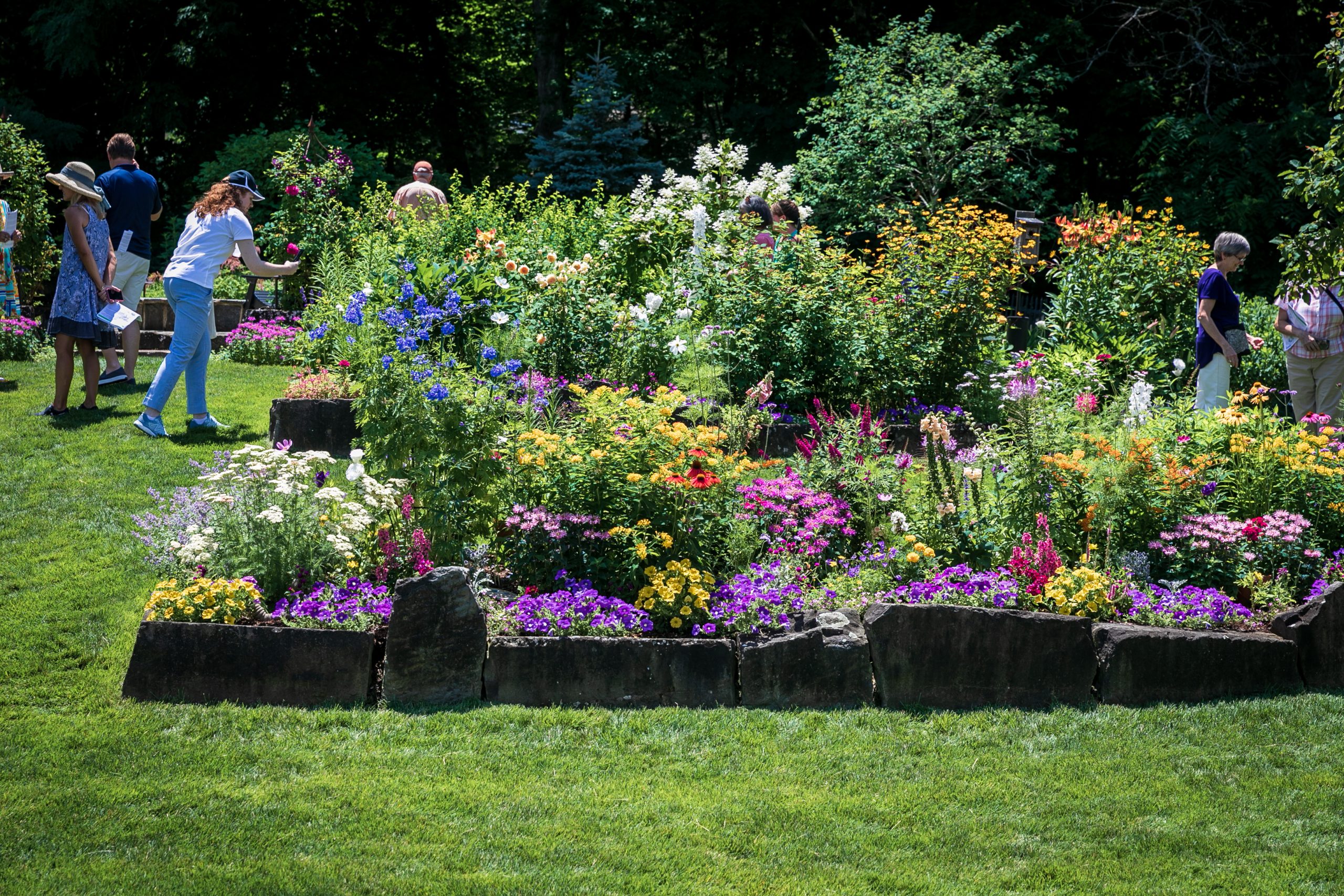 SUNY Empire dedicates flower garden to those impacted by COVID pandemic –  Saratogian