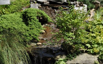 Secret Gardens Tour 2025 Photo 01